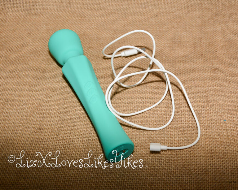 Review of Sweetensity Rechargeable Silicone Wand Vibrator Copyright Liz BlackX