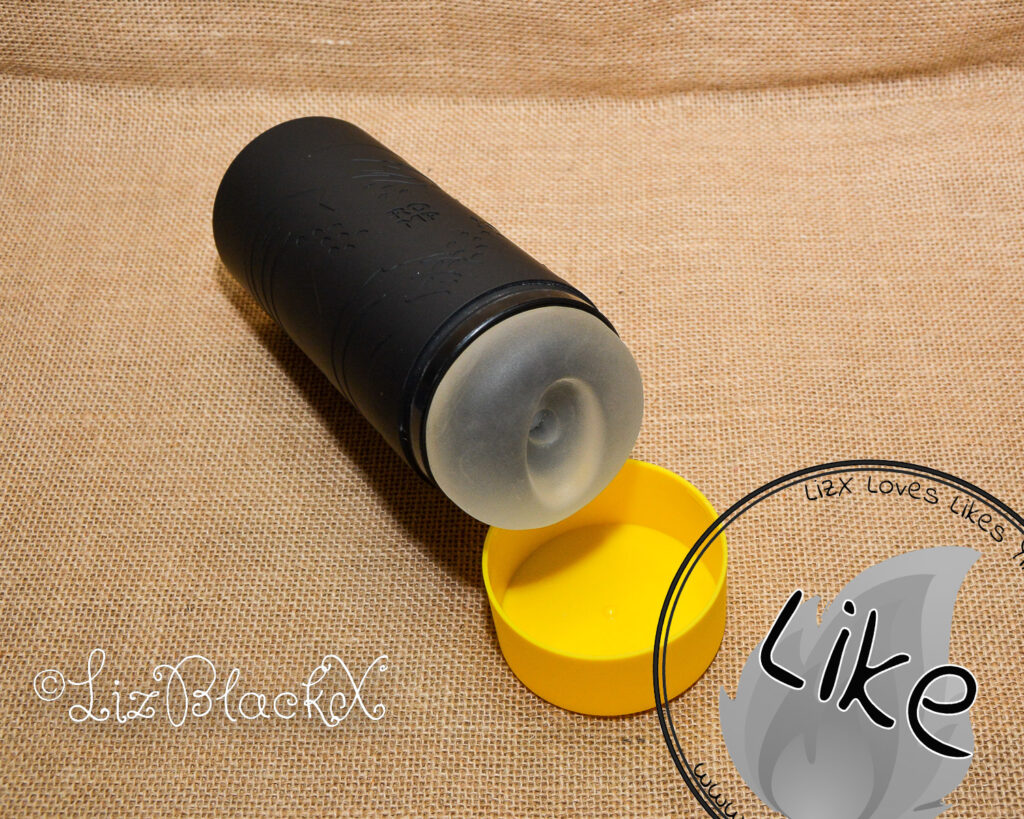 Review of the Dash by Romp Toys Copyright Liz BlackX