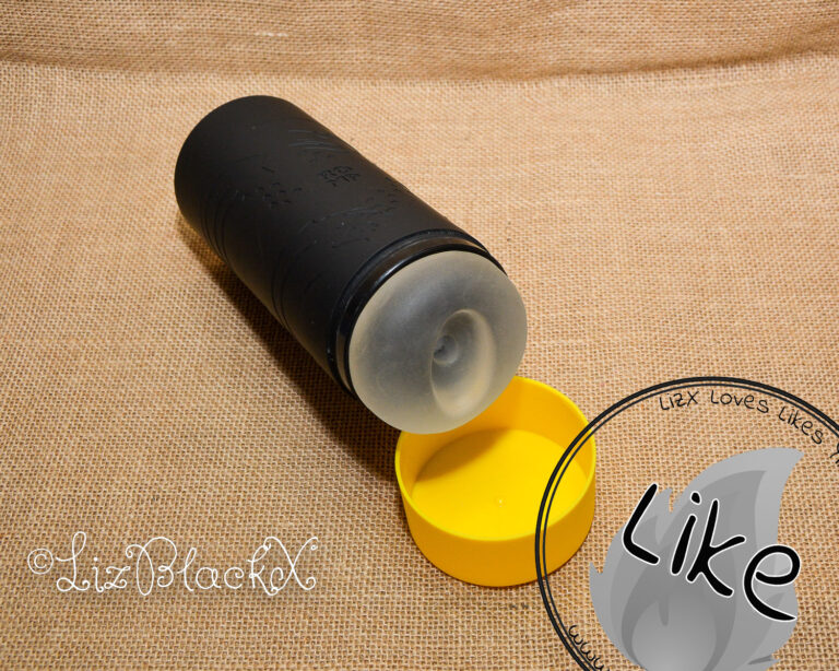 Review of the Dash by Romp Toys Copyright Liz BlackX