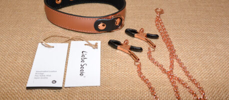 Review of the Rose Gold Memory Collar and Nipple Clamps by Liebe Seele