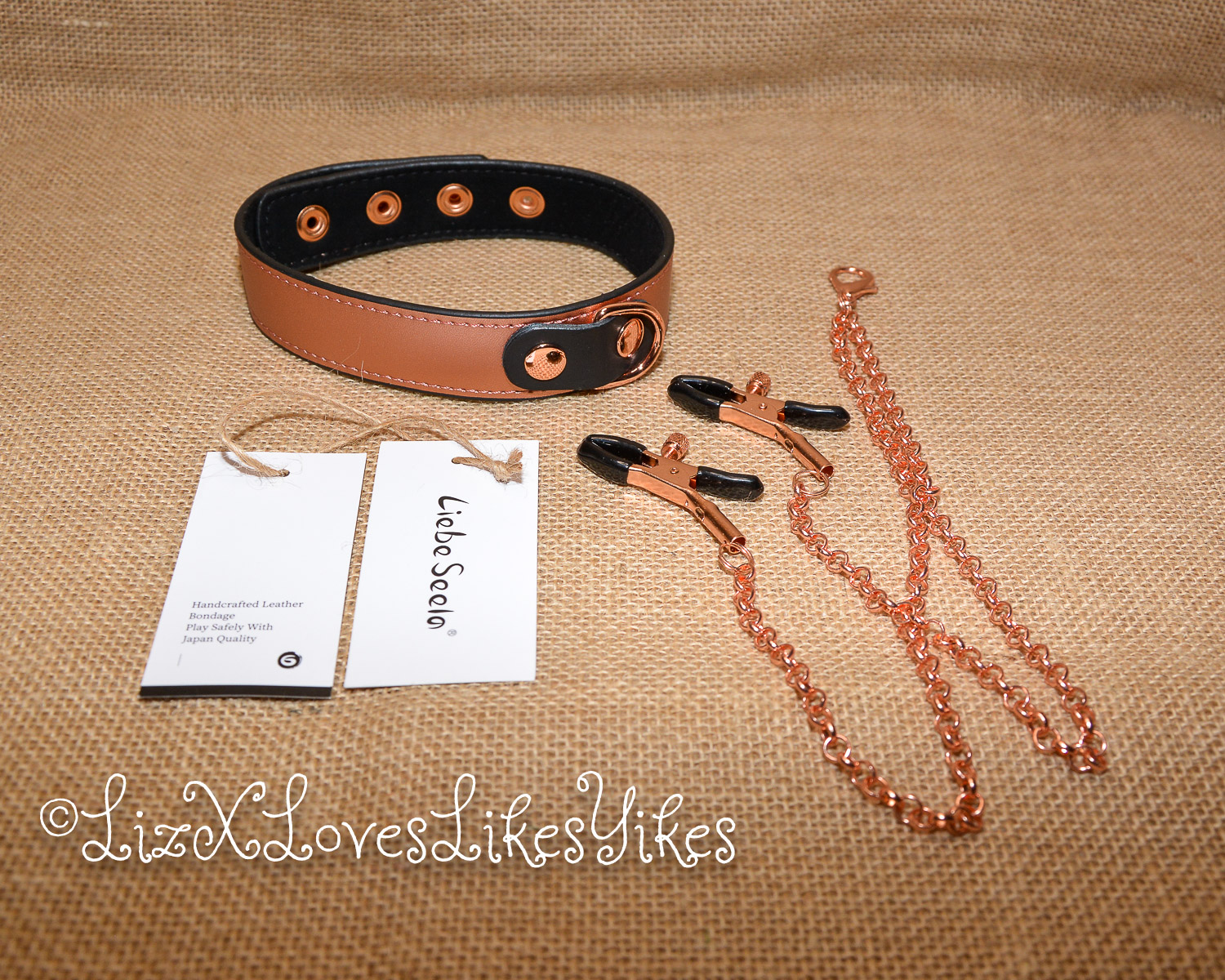 Review of the Rose Gold Memory Collar and Nipple Clamps by Liebe Seele