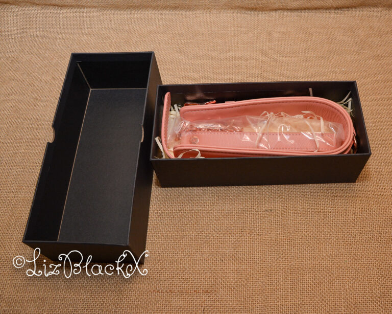 Review of the Pink Dream Leather Collar with Leash by Liebe Seele Copyright Liz BlackX