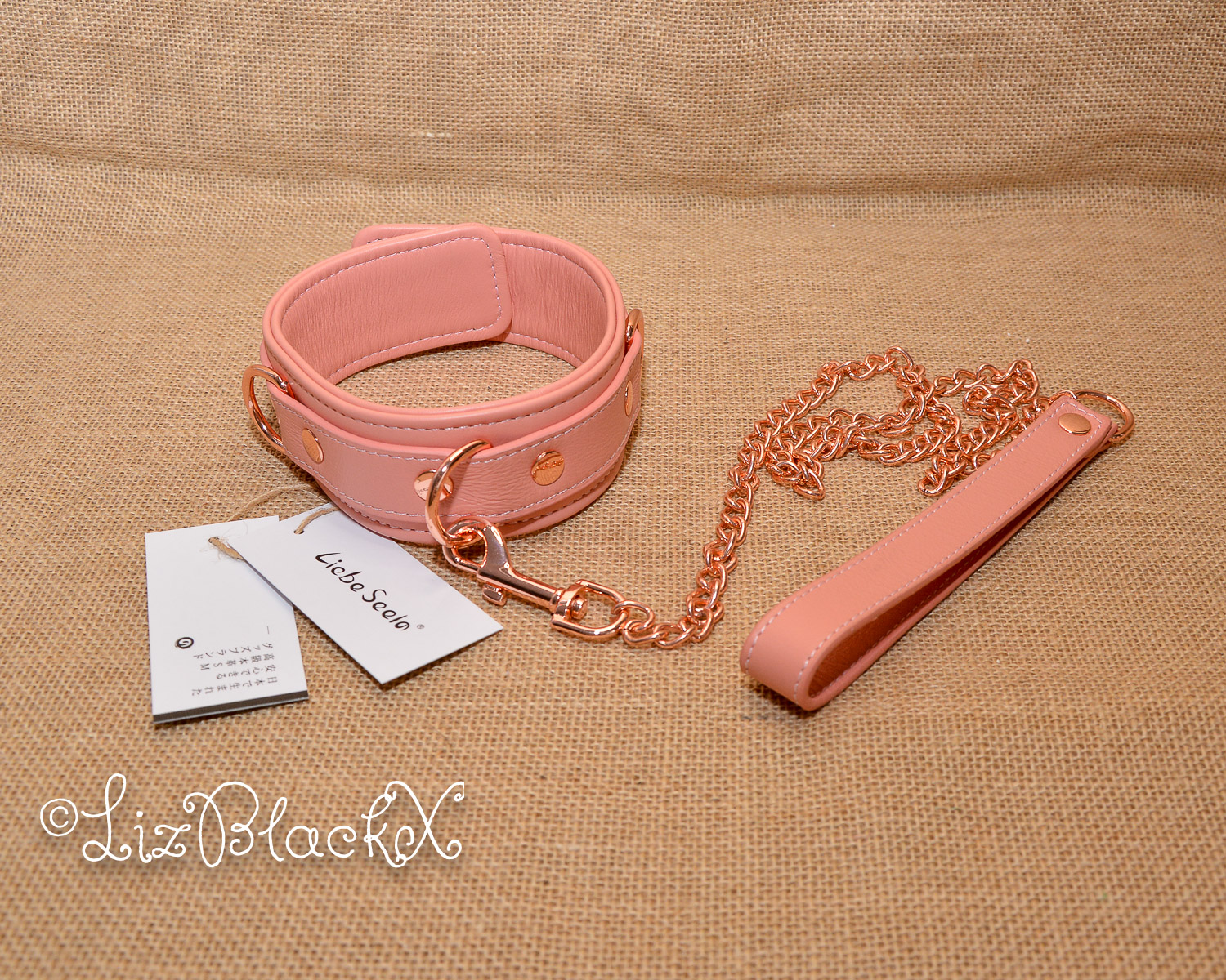 Review of the Pink Dream Leather Collar with Leash Liebe Seele