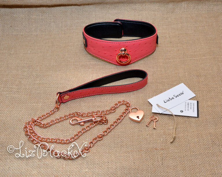 Seductively Secure: The Ultimate Review of the Angel's Kiss Leather Curved Collar from Liebe Seele Copyright LizBlackX