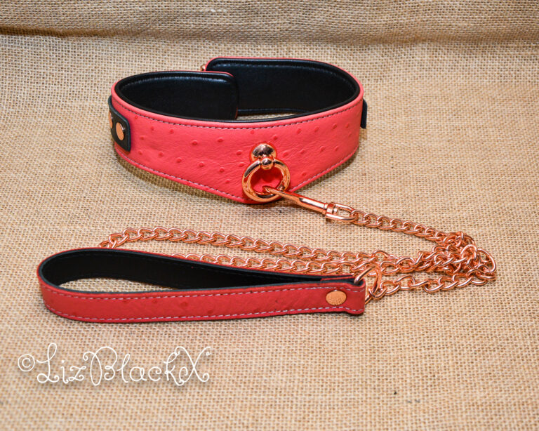 Seductively Secure: The Ultimate Review of the Angel's Kiss Leather Curved Collar from Liebe Seele Copyright LizBlackX