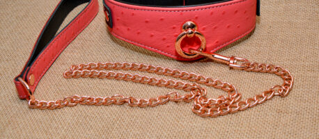 Seductively Secure: The Ultimate Review of the Angel’s Kiss Leather Curved Collar from Liebe Seele