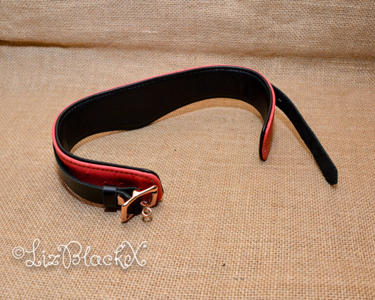 Seductively Secure: The Ultimate Review of the Angel's Kiss Leather Curved Collar from Liebe Seele Copyright LizBlackX